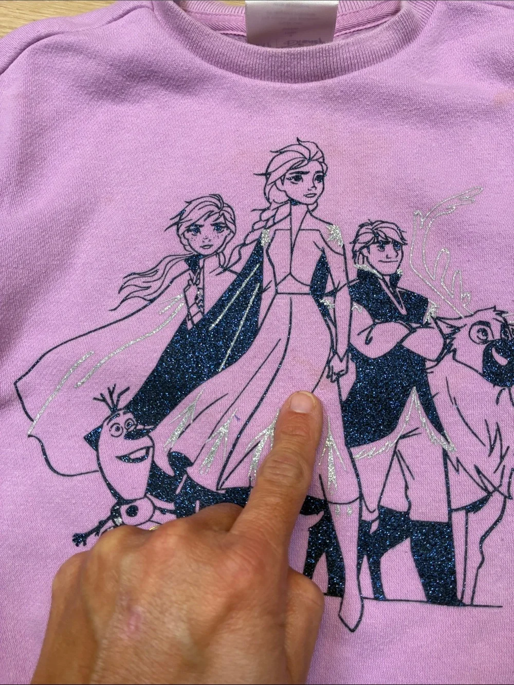 Baby Gap x Disney FROZEN Elsa Anna Sven Kristof Pink Pullover Sweatshirt